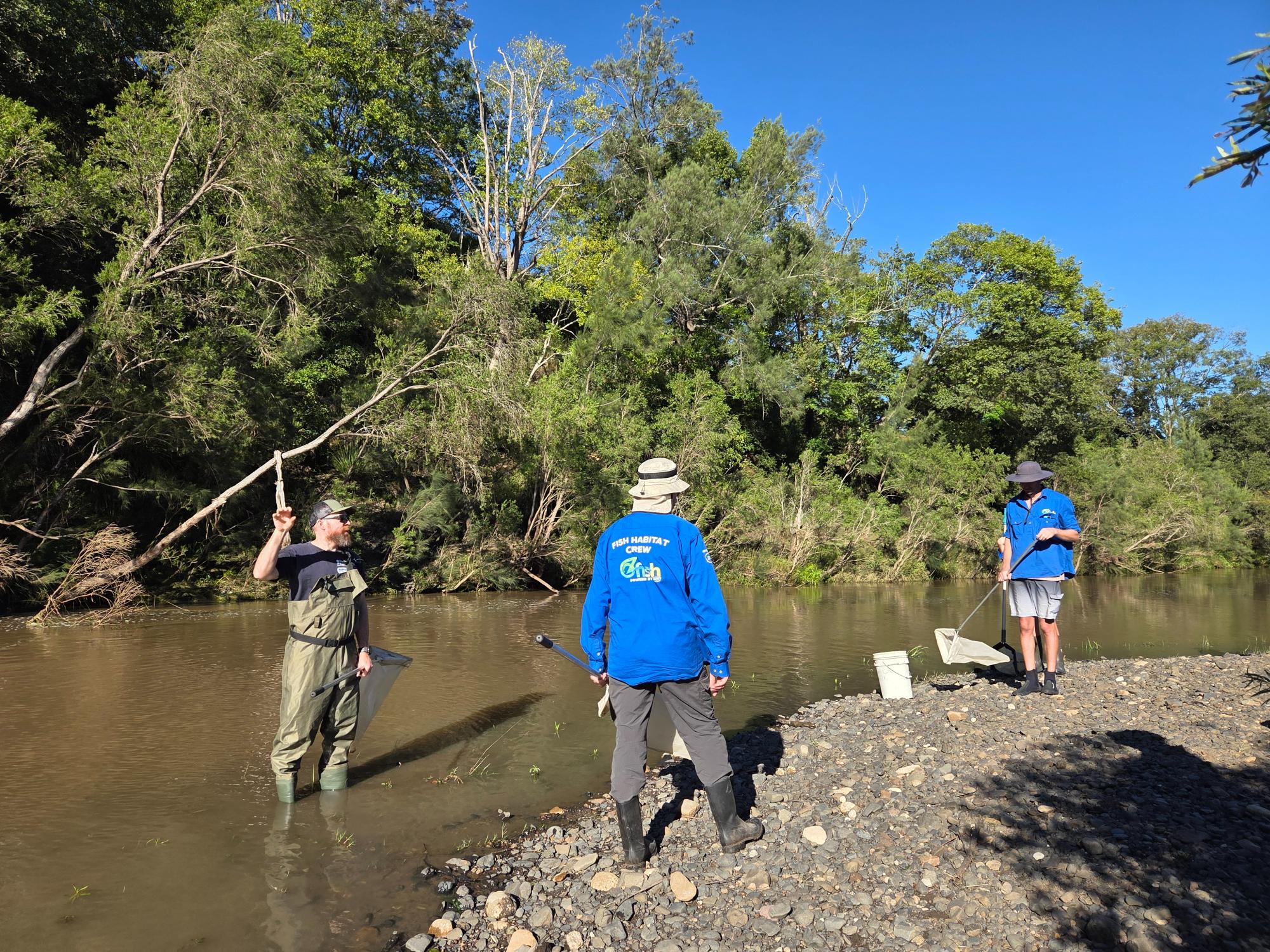 OzFish volunteers unite to restore the Richmond
