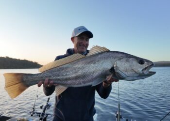 Feedback sought on Victoria’s mulloway fishery