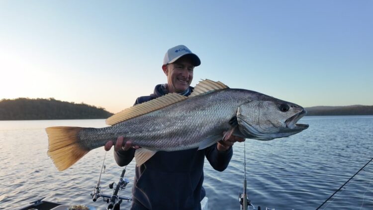 Feedback sought on Victoria’s mulloway fishery