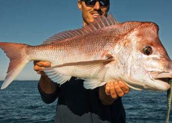 2026 Trophy Hunter Snapper Bash