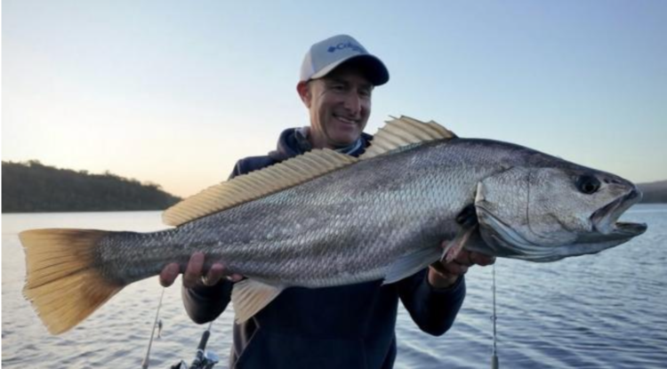 Feedback sought on Victoria’s mulloway fishery