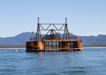 New artificial reef for Coffs Harbour