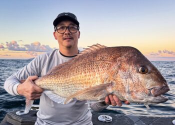 NSW Recreational Fishing Peak Body takes shape