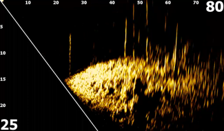 Lowrance updates Eagle Eye Live Sonar software 