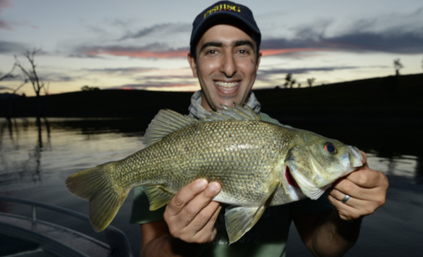 Spring bass